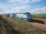 RUMO 9842